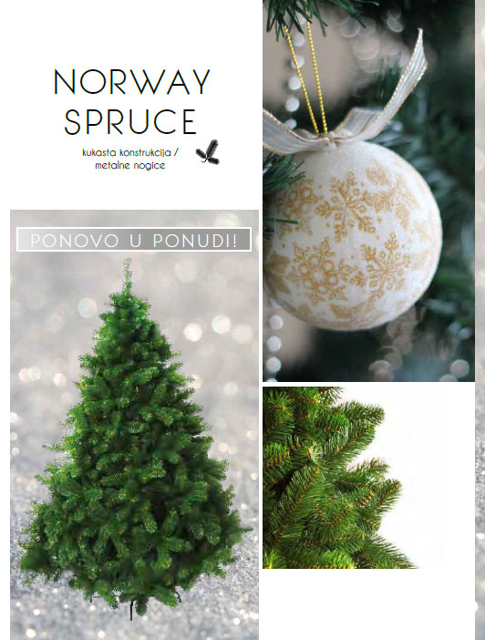 Jelka Visine 300 cm - Norway Spruce - dodatni pogled