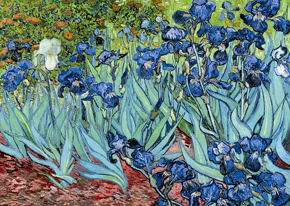 Ravensburger puzzle Art - Vincent Van Gogh - Irises 1000 delova RA15613 - dodatni pogled