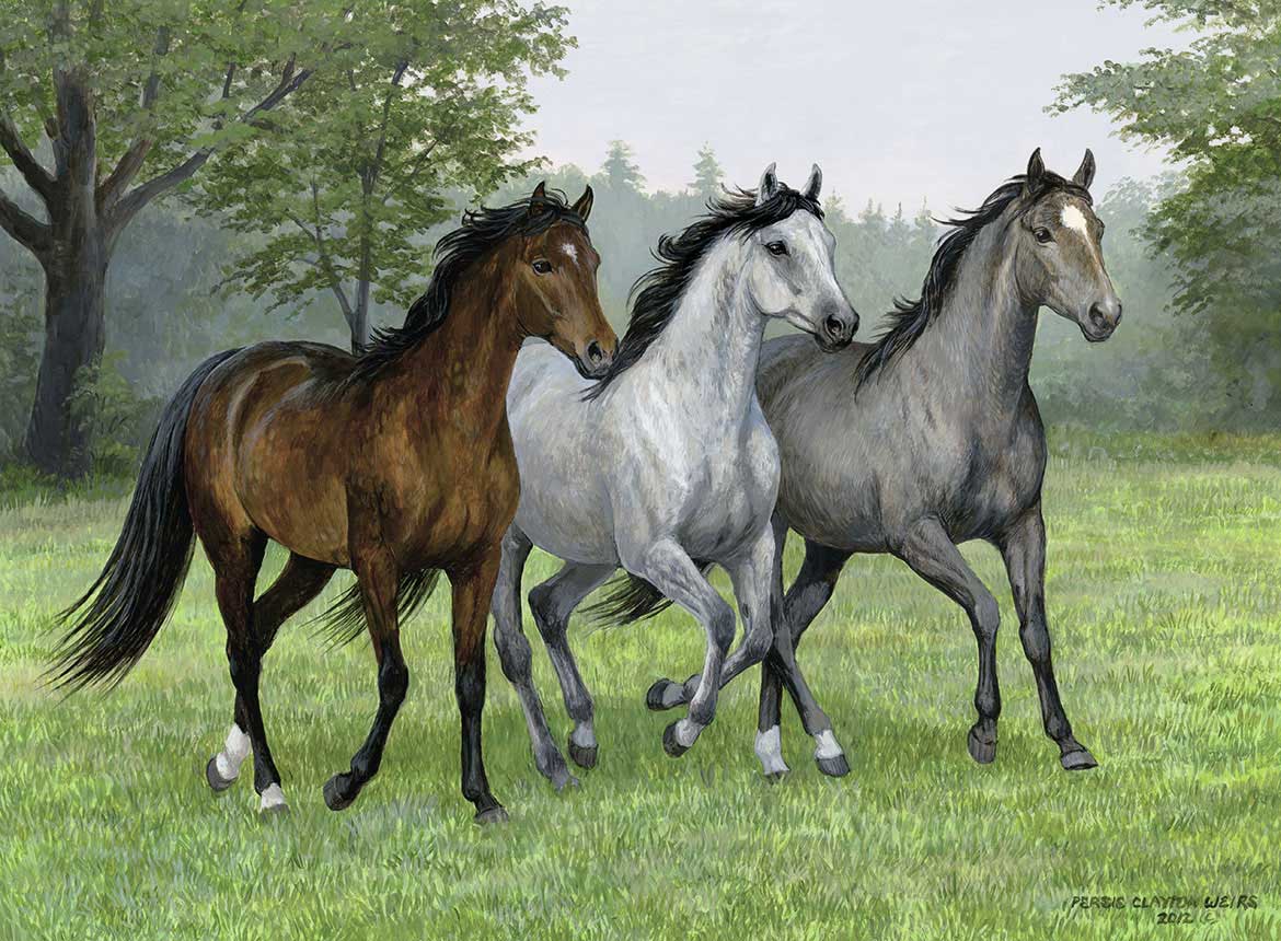 Ravensburger puzzle XXL - Životinje - Konji - Wild Trifecta 200 delova RA12632 - dodatni pogled