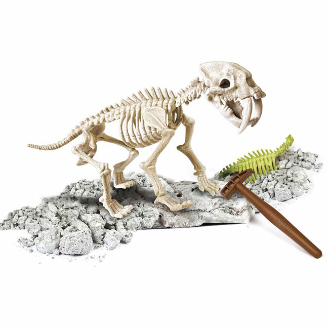 Clementoni Iskopaj fosil dinosaurusa Smilodon CL61253 - dodatni pogled