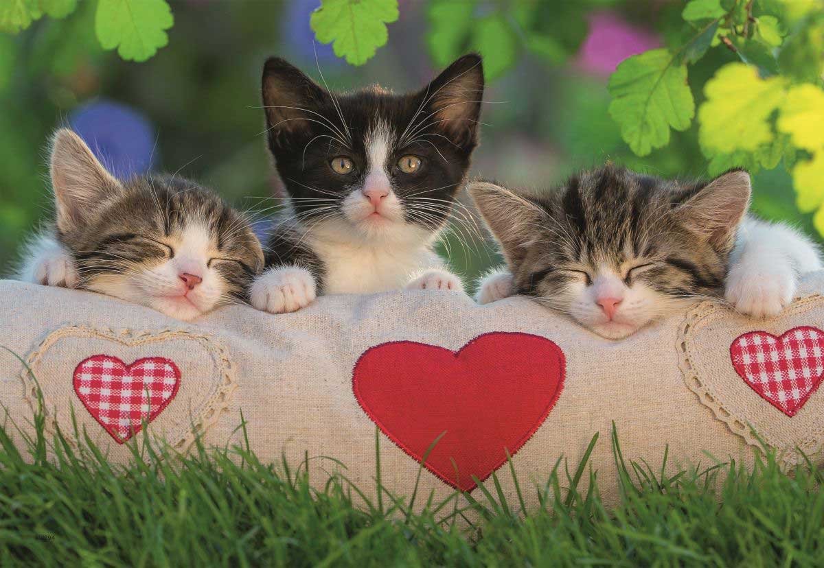 Ravensburger puzzle Dečije puzle - 2x24 - Životinje - Mace - Sleepy Kittens  2x24 dela RA07801 - dodatni pogled