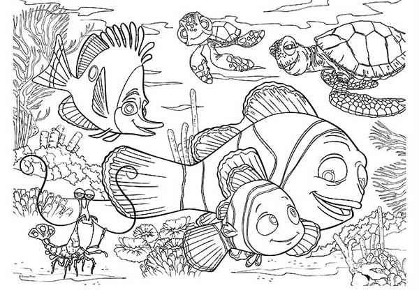 Lisciani Slagalica 60 Delova Nemo Složi i Oboji 32090 - dodatni pogled