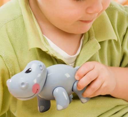 Tolo igračka Nilski Konj 86573 - dodatni pogled