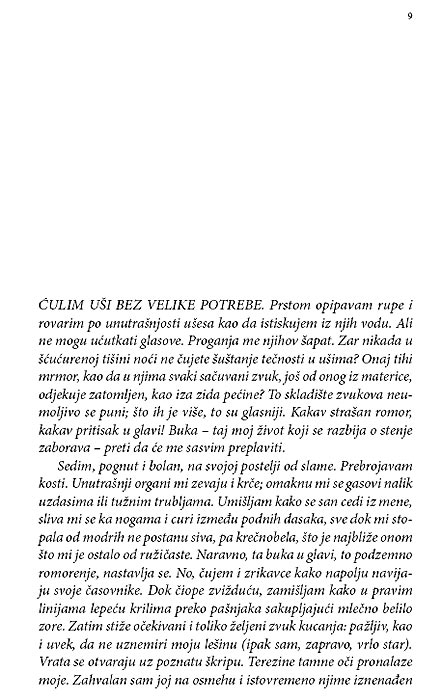 Umetnine I Čudesa, Gregori Norminton - dodatni pogled