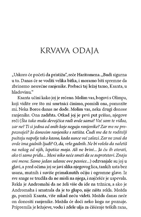 Troja, Adel Geras - dodatni pogled