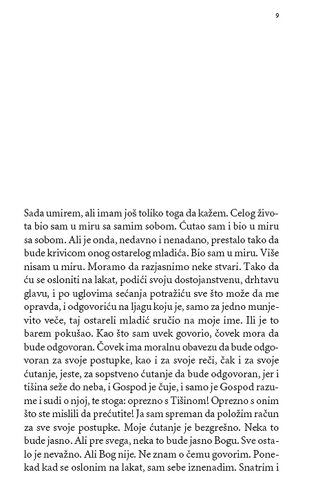 Čile Noću, Roberto Bolanjo - dodatni pogled