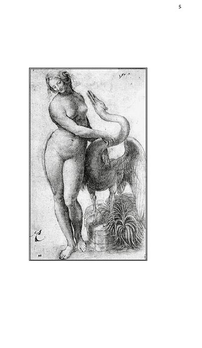 Leonardovi Labudovi, Karen Eseks - dodatni pogled