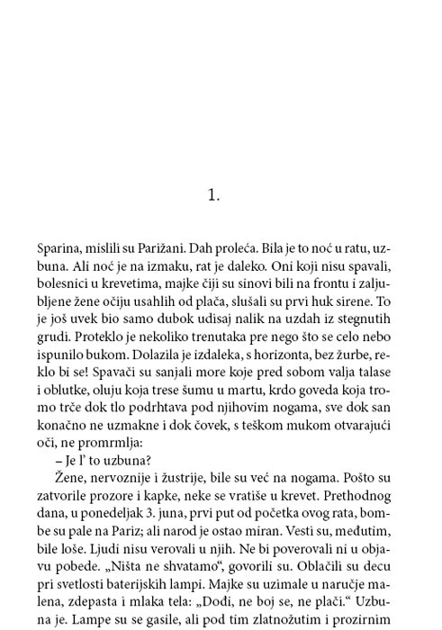 Francuska Svita, Irina Nemirovska - dodatni pogled