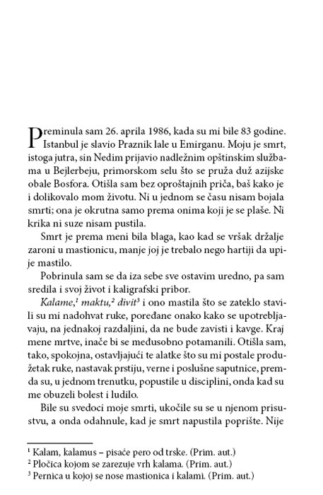 Noć Kaligrafa, Jasmin Gata - dodatni pogled