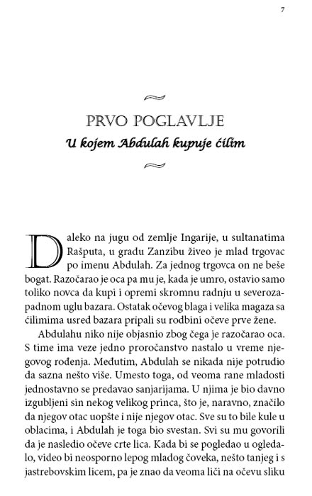 Zamak u Oblacima,Dajana Vin Džouns - dodatni pogled