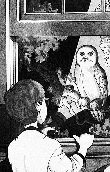 Čarobna Kućica Na Drvetu : Beli Medvedi u Vreme Spavanja, Meri Poup Ozborn - dodatni pogled