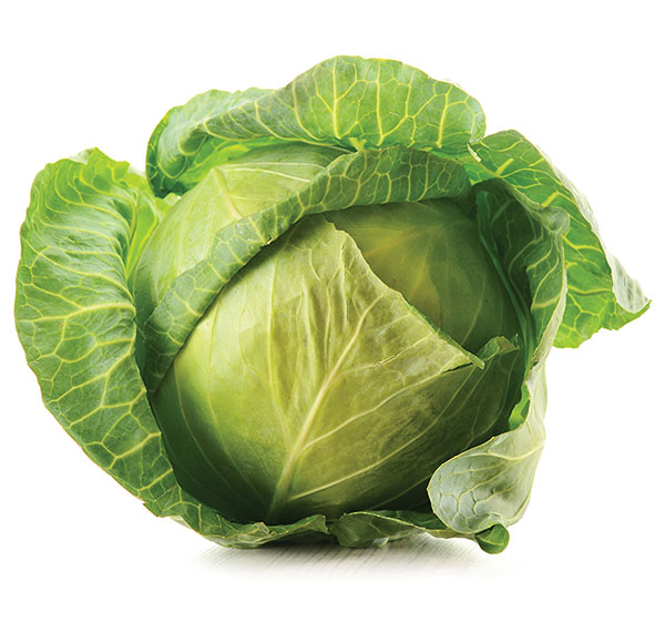 Povrće - seme - Kupus Varaždinski - Brassica oleracea var. capitata - 47 - dodatni pogled