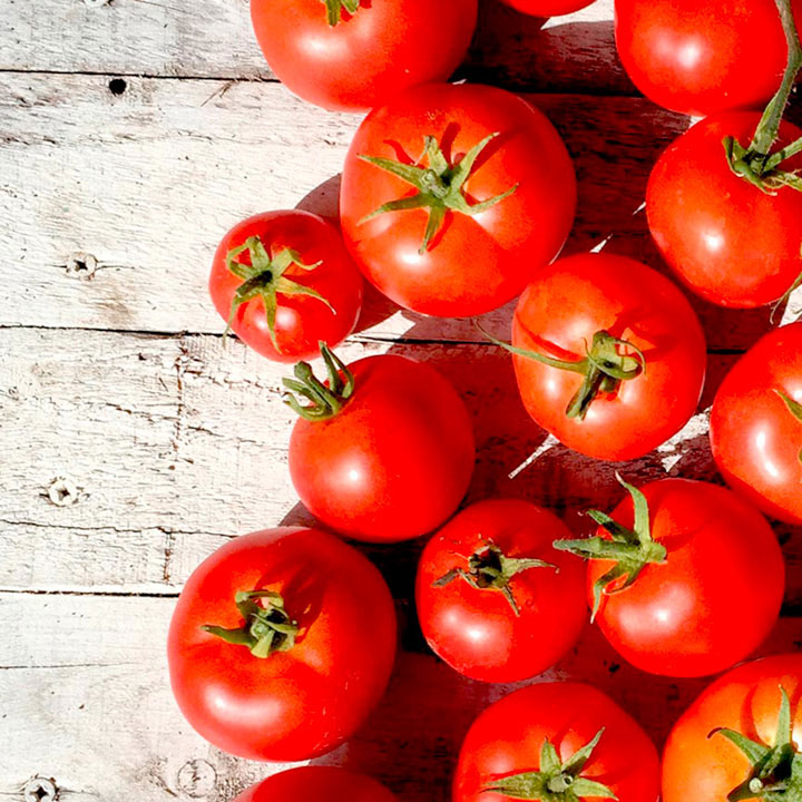 Seme za Paradajz Hajnc 1370 - Solanum lycopersicum L. 510 - dodatni pogled