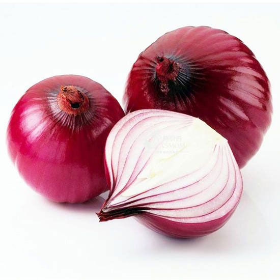 Crveni luk - ptujski - seme - Allium cepa L. 596 - dodatni pogled