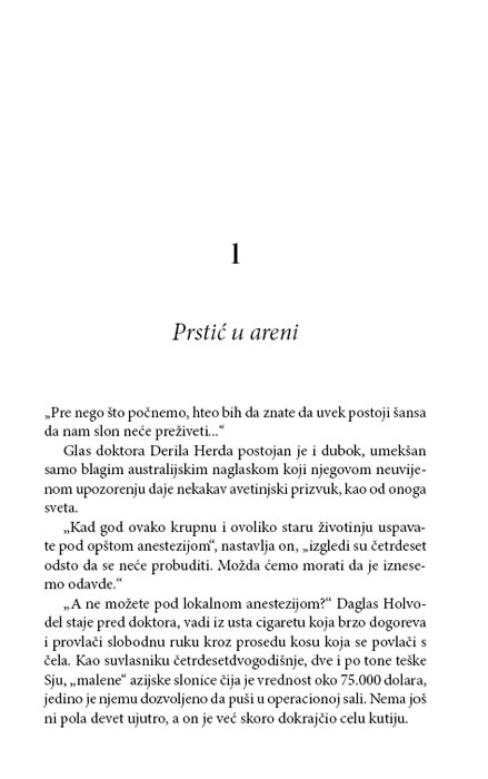 Pod Šarenim Svodom, Brus Fejler - dodatni pogled