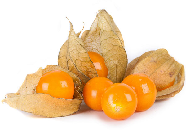 Seme za začinsko bilje -  Peruanska jagoda - Physalis peruviana 1075 - dodatni pogled