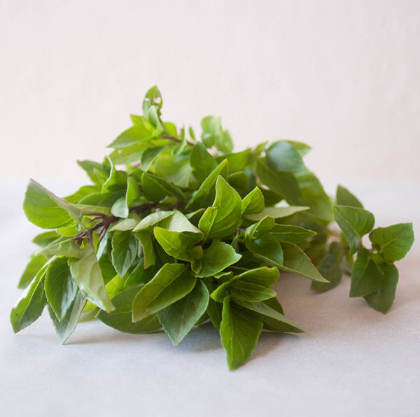 Seme za začinsko bilje - Grčki Bosiljak - Ocimum basilicum L. 1080 - dodatni pogled