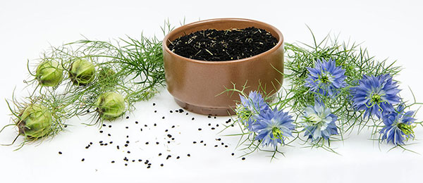 Seme za začinsko bilje - Crni kim - Nigella sativa 1078 - dodatni pogled