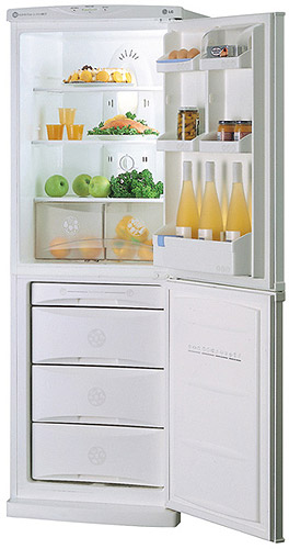 LG kombinovani frižider GR-349SQF - dodatni pogled