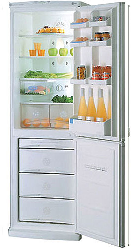 LG kombinovani frižider GR-389SQF - dodatni pogled