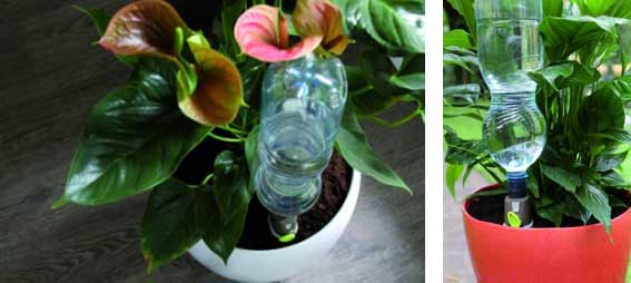 Sistem za zalivanje cveća G.F Garden Aquaflora Holiday Tris 6341 041699 - dodatni pogled