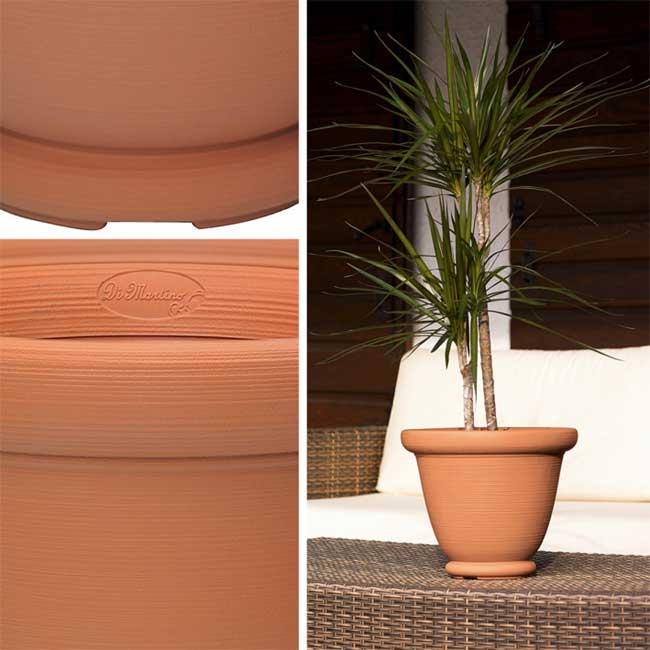 Di Martino Saksija Brenta 35 011251 - dodatni pogled