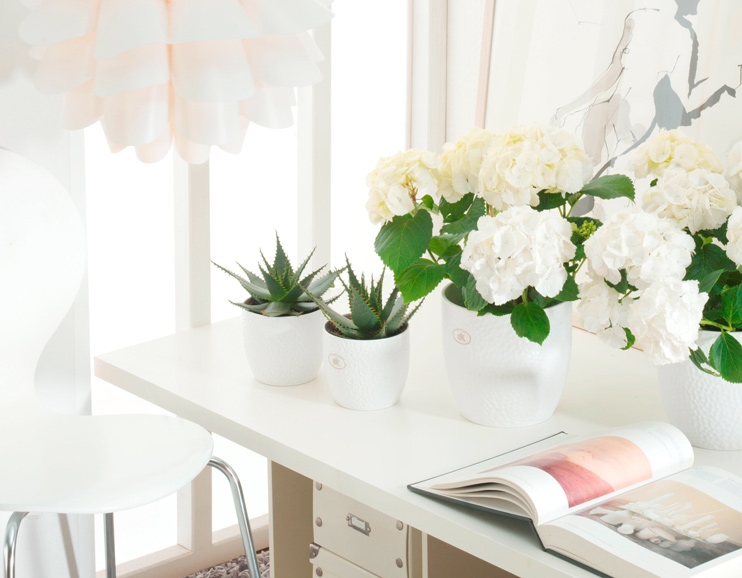 Soendgen keramička saksija Boston 14cm bela - dodatni pogled