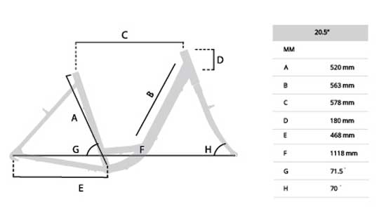 Ženski Bicikl Capriolo Diana City 28/6HT 917755-20 - dodatni pogled