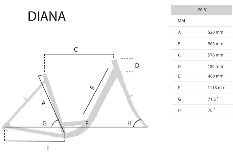 Bicikl Capriolo Diana Bela 917756-20 - dodatni pogled