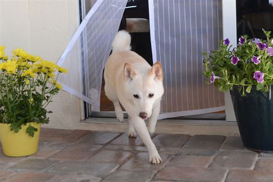 Zavesa sa magnetima - bela - dodatni pogled