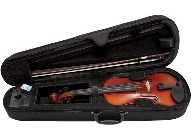 Gewa Pure Outfit EW 4/4 violina PS401621 - dodatni pogled