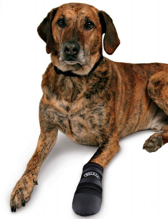 Walker Zaštitne čizmice za pse 2 komada veličina L Trixie 1958 - dodatni pogled