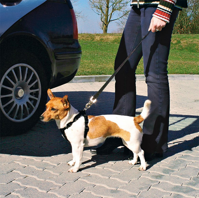 Sigurnosni pojas za psa prilikom vožnje u autu veličina S Trixie 1290 - dodatni pogled