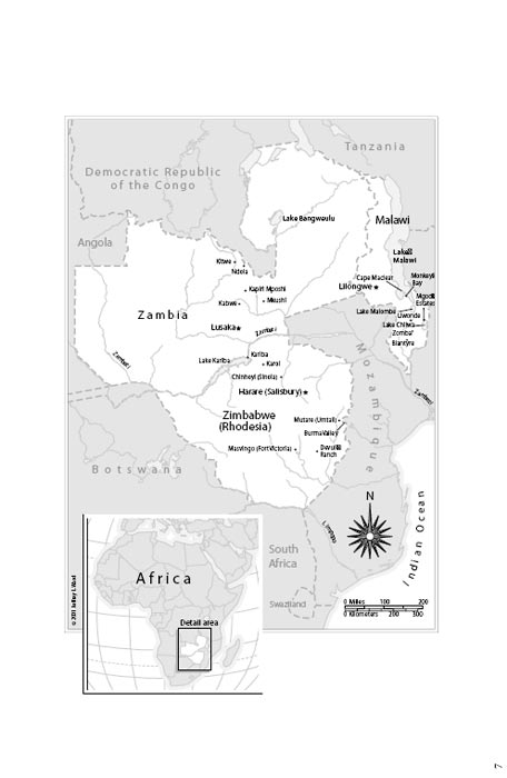 Ne Idimo Noćas Psima, Aleksandra Fuler - dodatni pogled