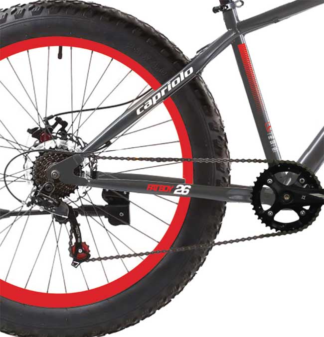 Bicikl Capriolo Fat Boy 26 917201-19 - dodatni pogled