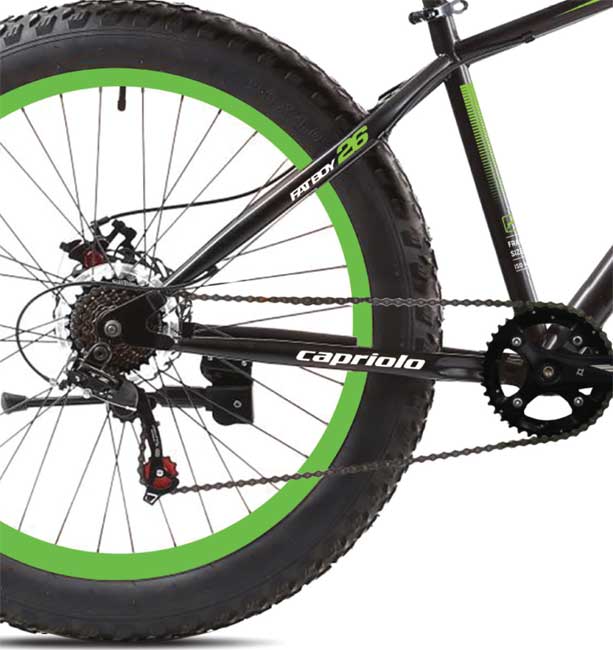 Bicikl Capriolo Fat Boy 26 917200-19 - dodatni pogled