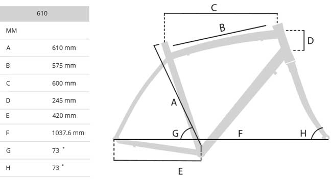 Bicikl Capriolo Road Firebird 3 belo-crvena 915614-61 - dodatni pogled