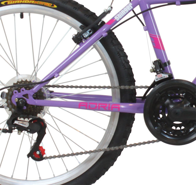 Bicikl Adria Stinger 2018 Junior 918180-12 - dodatni pogled
