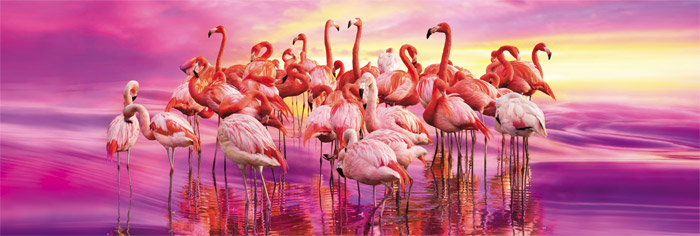 Clementoni Puzzle 1000 delova Flamingo Dance 39427 - dodatni pogled