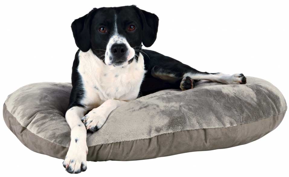 Jastuk za psa King of Dogs 60cm Trixie 37942 - dodatni pogled