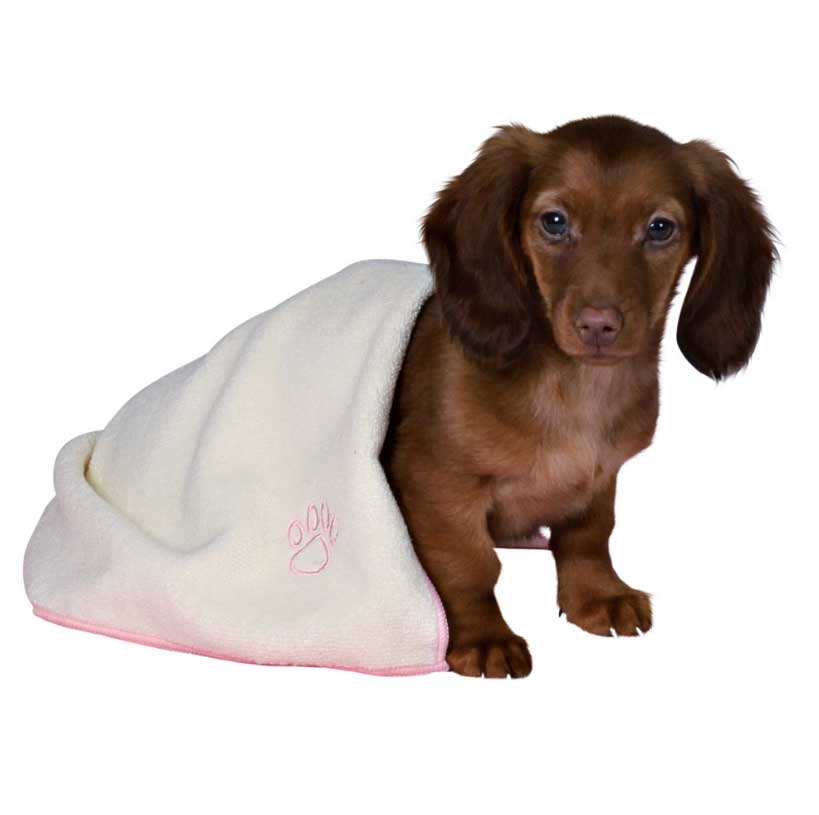 Trixie Prostirka - ćebence i peškir za štence pink 15587 - dodatni pogled