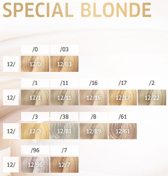 Wellaton Boja za kosu 12/1 Special Blonde ash - dodatni pogled