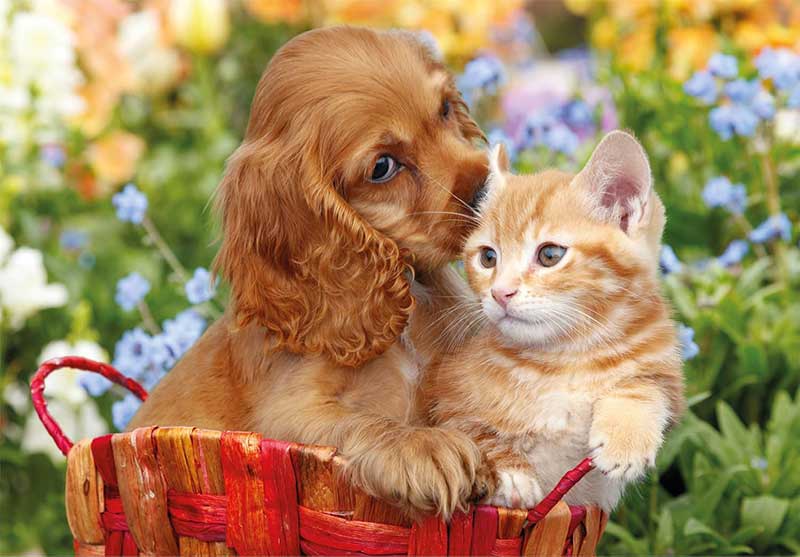 Puzzle slagalice 104 maxi dela Slatki prijatelji Clementoni 25763 - dodatni pogled