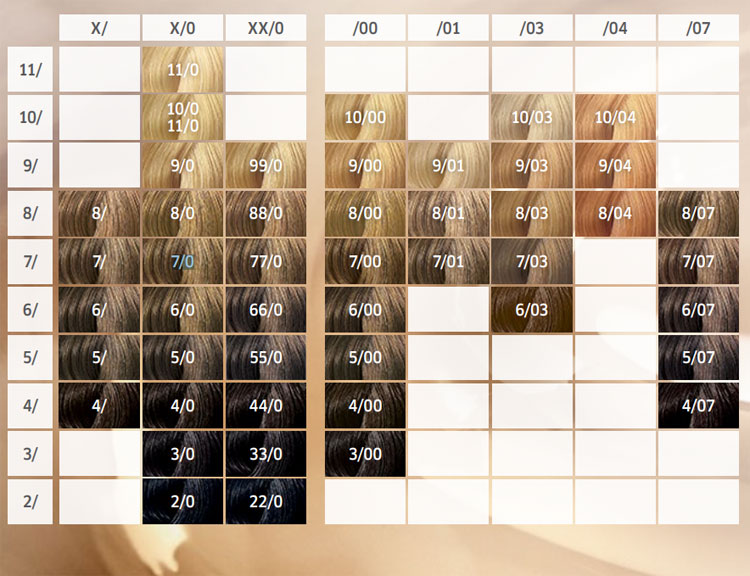 Wellaton Boja za kosu 8/03 Autumn Gold - dodatni pogled