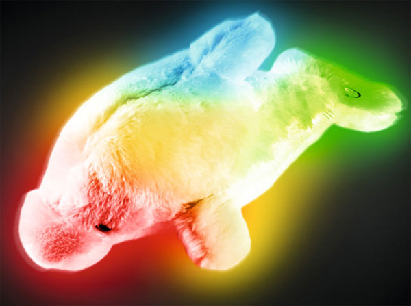 Višebojno LED noćno svetlo u obliku plišanog delfina PD01/BL - dodatni pogled