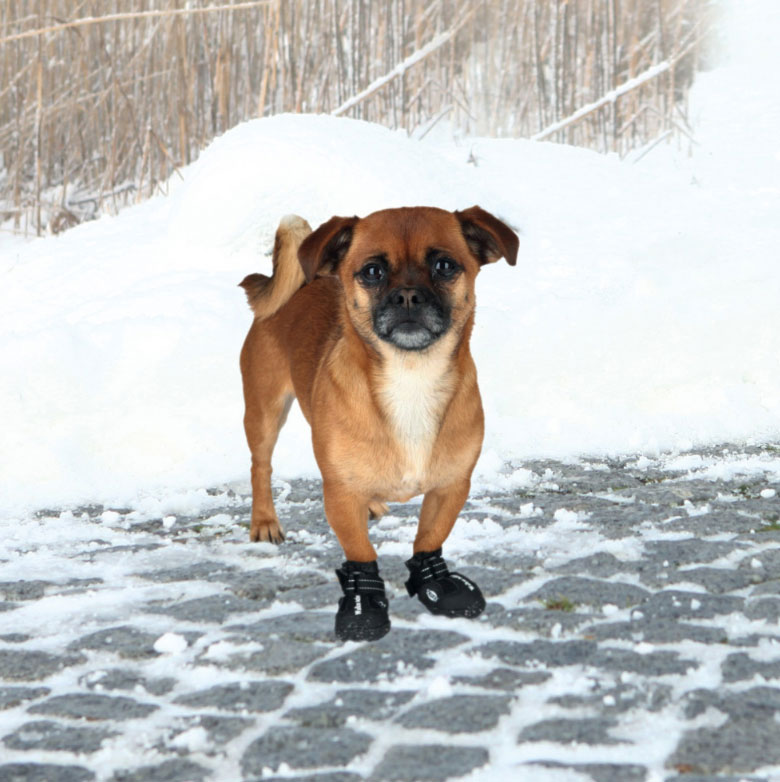 Trixie Zaštitne cipele za pse Walker Active XS 19460 - dodatni pogled