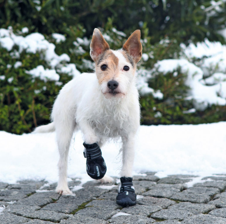 Trixie Zaštitne cipele za pse Walker Active XS-S 19461 - dodatni pogled