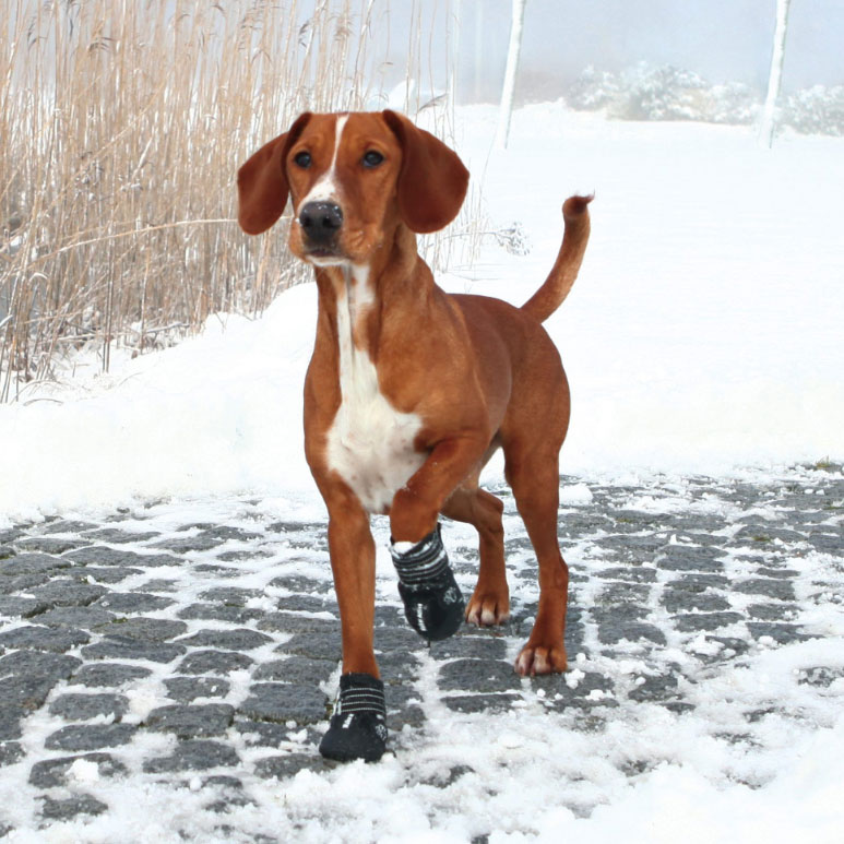 Trixie Zaštitne cipele za pse Walker Active M-L 19464 - dodatni pogled