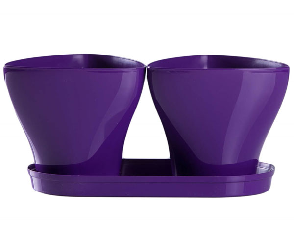 Saksije za cveće sa tacnom Jazz Mix and Play Ljubičasta - dodatni pogled