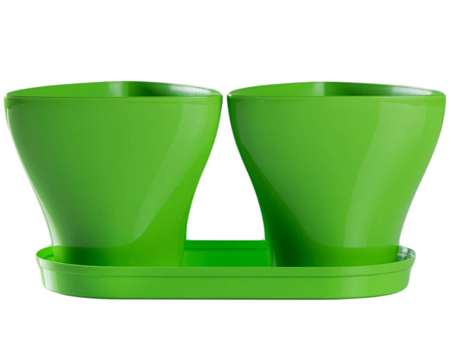 Saksije za cveće sa tacnom Jazz Mix and Play Zelena - dodatni pogled